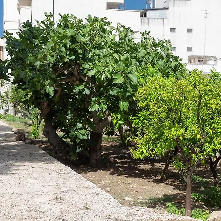 La Curte Dellu Pippi Niuru Nyaraló