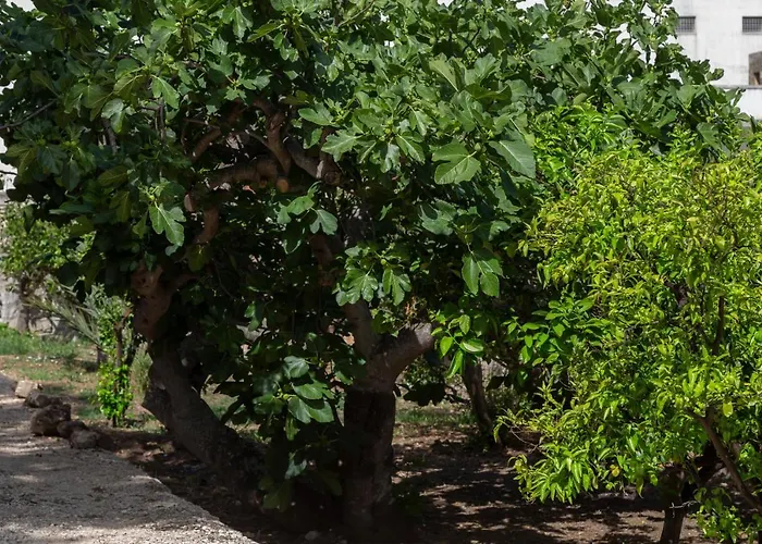 La Curte Dellu Pippi Niuru בית נופש